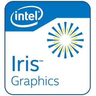 Intel Iris Xe Graphics G7 (80EU)